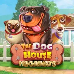 The Dog House Megaways gra w Vavada Casino dla graczy z Polski